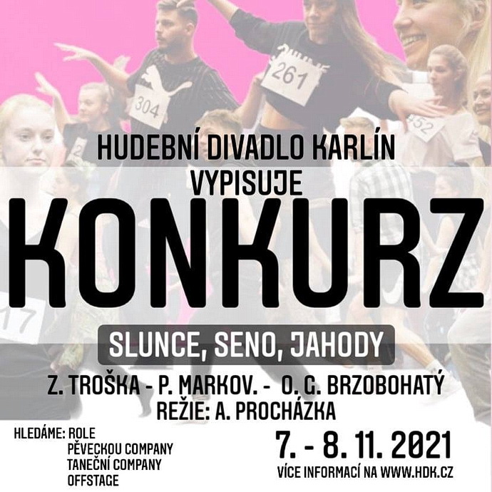 KONKURZ do muzikálu Slunce, seno, jahody