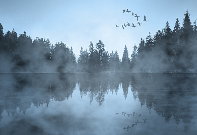 Labutí jezero (Swan lake - vizual)